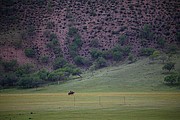 Bulgan, Bulgan, Mongolia