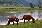 Bulgan, Bulgan, Mongolia