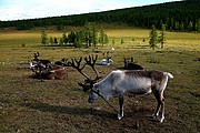 Khovsgol Nuur, Khovsgol Nuur, Mongolia