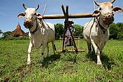 Pagan, Pagan, Myanmar