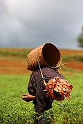 Kalaw, Kalaw, Myanmar