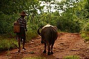 Kalaw, Kalaw, Myanmar