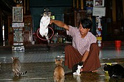 Nga Hpe Chaung, Lago Inle, Myanmar