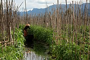 Nyaungshwe, Lago Inle, Myanmar