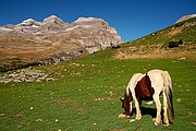 Monte Perdido, Ordesa, España