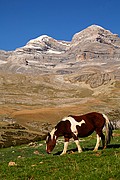 Monte Perdido, Ordesa, España