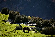 Valle de Añisclo, Ordesa, España