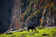 Valle de Añisclo, Ordesa, España