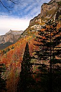 Valle de Ordesa, Ordesa, España