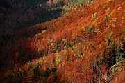 Valle de Ordesa, Ordesa, España