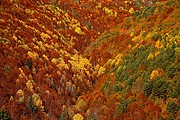 Valle de Vio, Ordesa, España