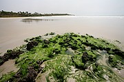 Senegal, Senegal, Senegal