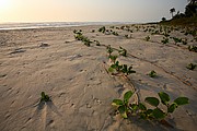 Senegal, Senegal, Senegal