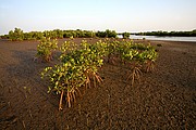 Senegal, Senegal, Senegal