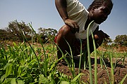 Senegal, Senegal, Senegal