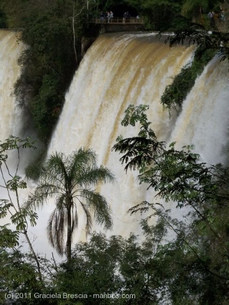 Iguazu
Como ellas, no hay
Misiones