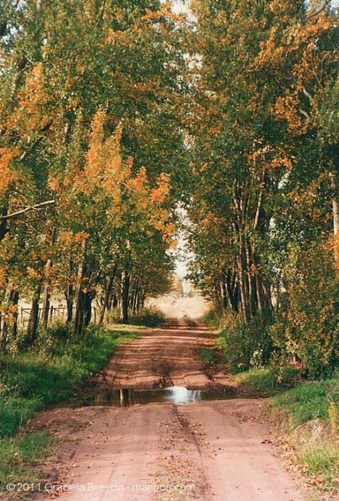 Tandil
Contemplando
Buenos Aires