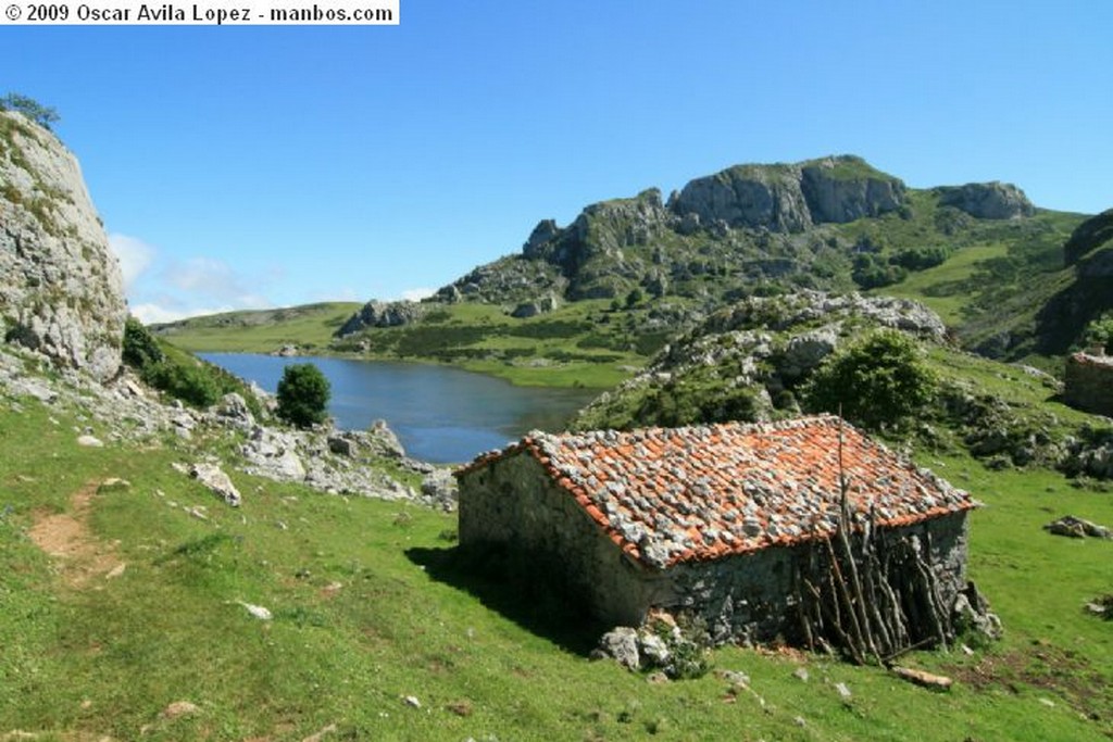 Los Lagos
Pastando
Asturias