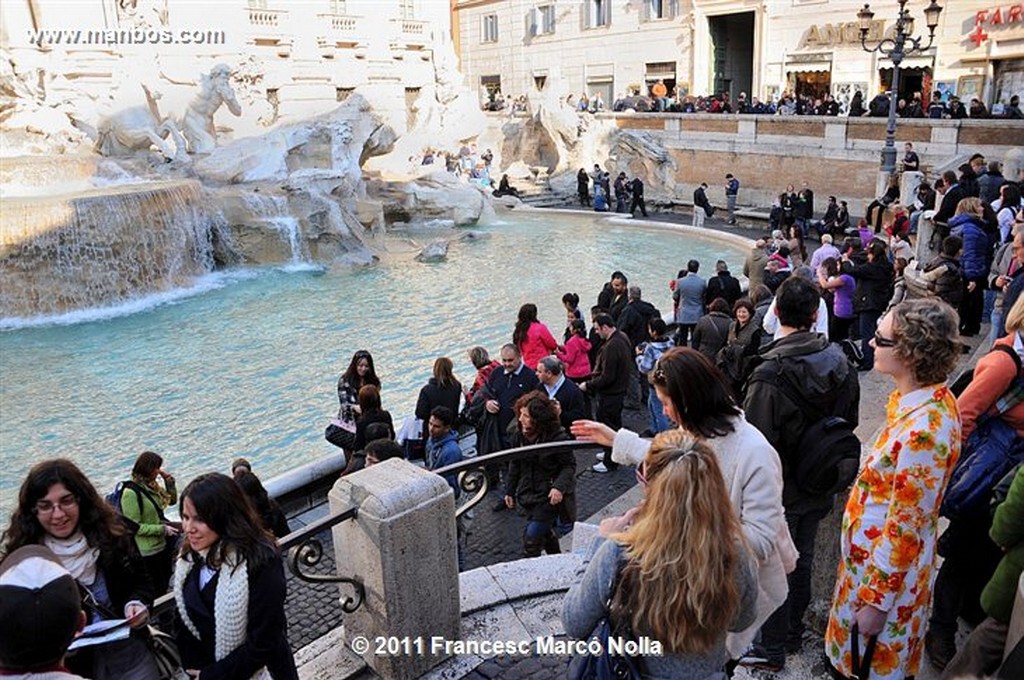 Roma 
Fontana Di Trevi 
Roma 