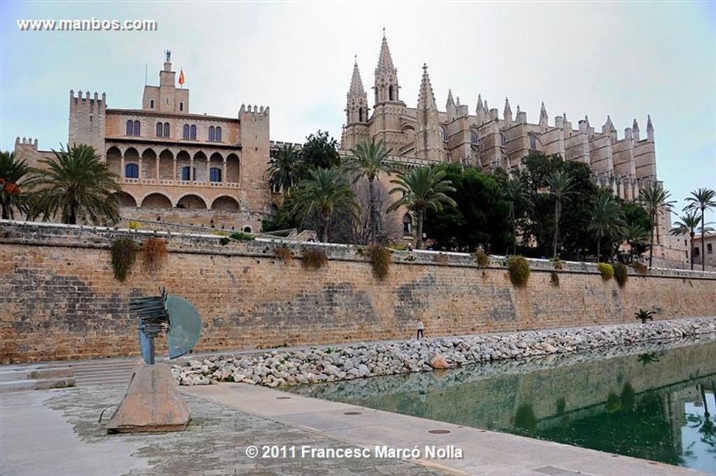 Palma de Mallorca 
Catedral de Palma 
Palma de Mallorca 