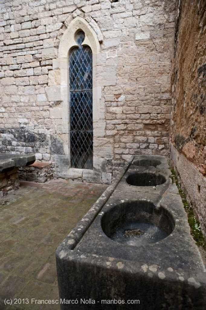 Monasterio de Santes Creus
Monasterio Santes Creus
Tarragona