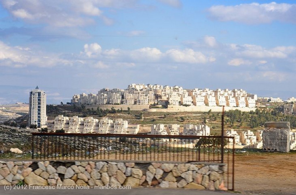 Jerusalen
Muro de Proteccion
Parte Judia