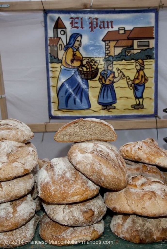 Tortosa
Fiesta del Renacimiento
Tarragona