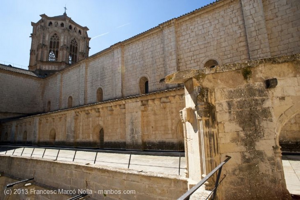 Monasterio de Poblet
Monasterio de Poblet
Tarragona