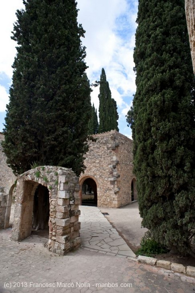 Monasterio de Santes Creus
Monasterio Santes Creus
Tarragona