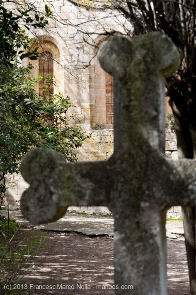 Monasterio de Santes Creus
Monasterio Santes Creus
Tarragona