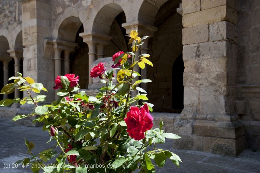 Vallbona de les Monges
Monasterio Vallbona de les Monges
Lerida