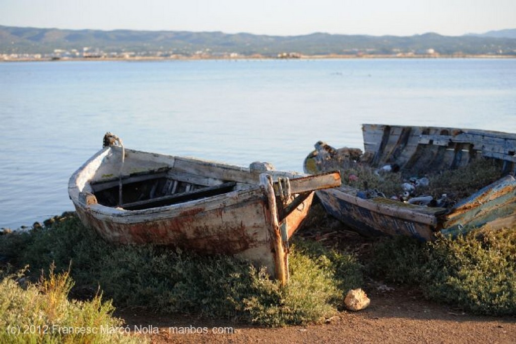 El Delta del Ebro
A Primera Hora del Dia 
Tarragona