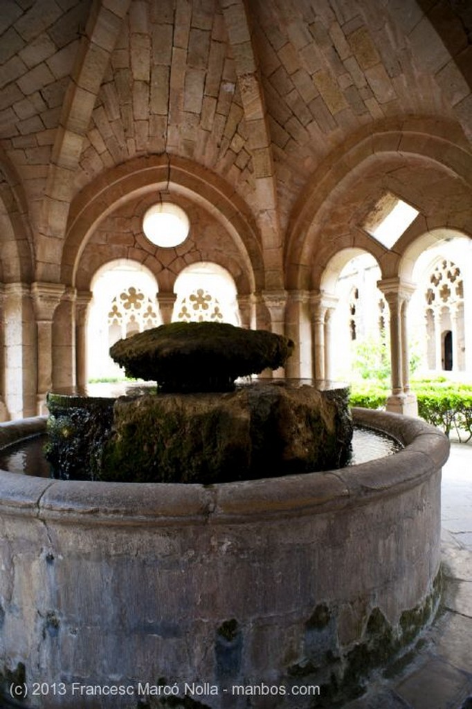 Monasterio de Santes Creus
Monasterio Santes Creus
Tarragona