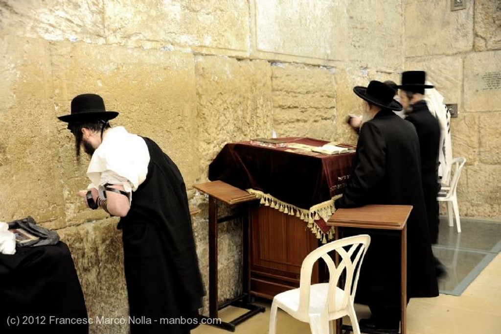 Jerusalen
La Torah  Fiesta del Perdon
Judea