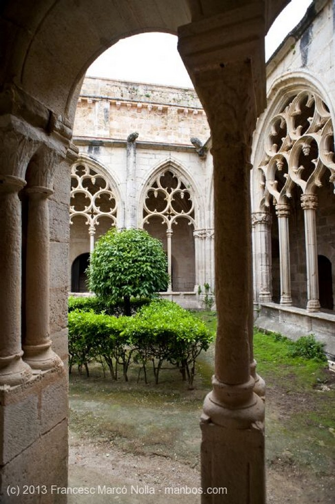 Monasterio de Santes Creus
Monasterio Santes Creus
Tarragona