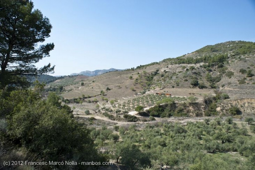 El Priorato
La Comarca del Priorato
Tarragona