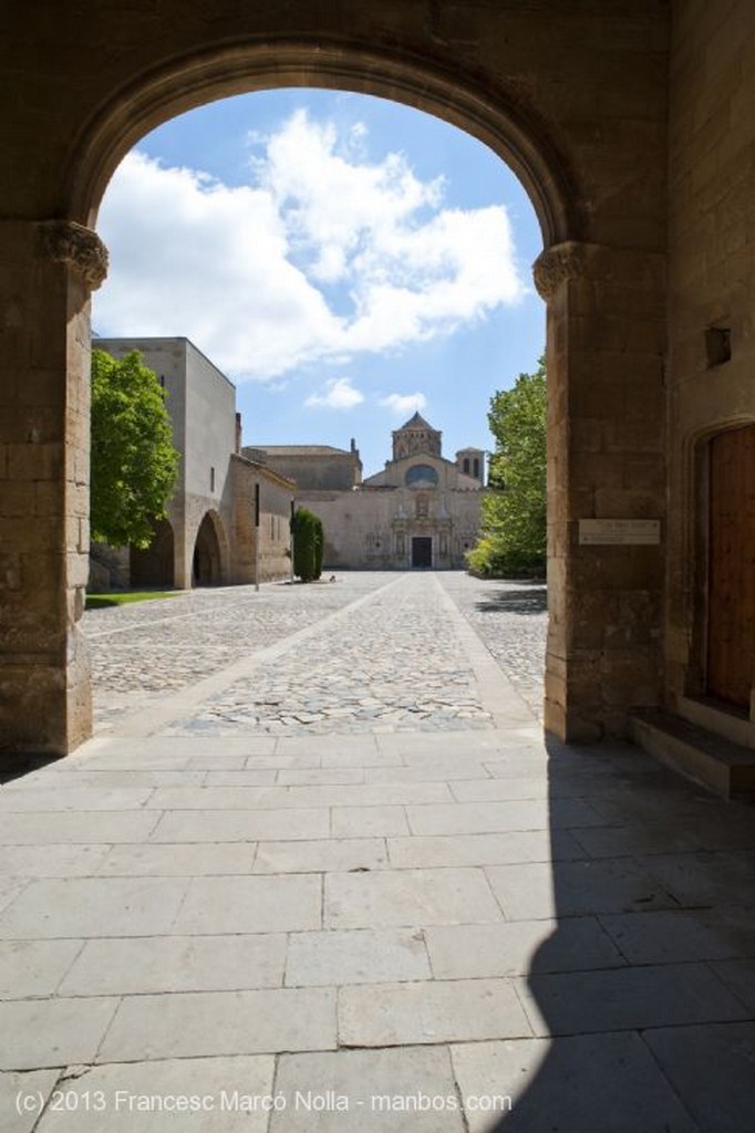 Monasterio de Poblet
Monasterio de Poblet
Tarragona