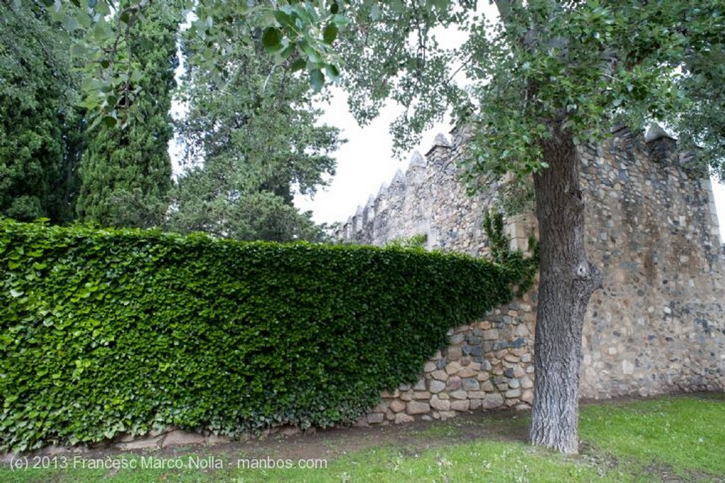 Monasterio de Poblet
Monasterio de Poblet
Tarragona