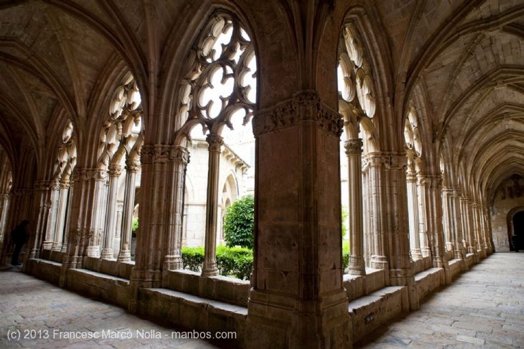 Monasterio de Santes Creus
Monasterio Santes Creus
Tarragona