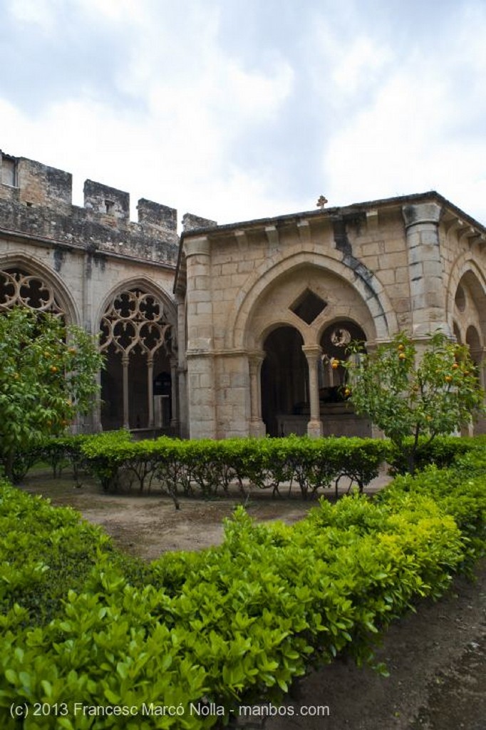 Monasterio de Santes Creus
Monasterio Santes Creus
Tarragona