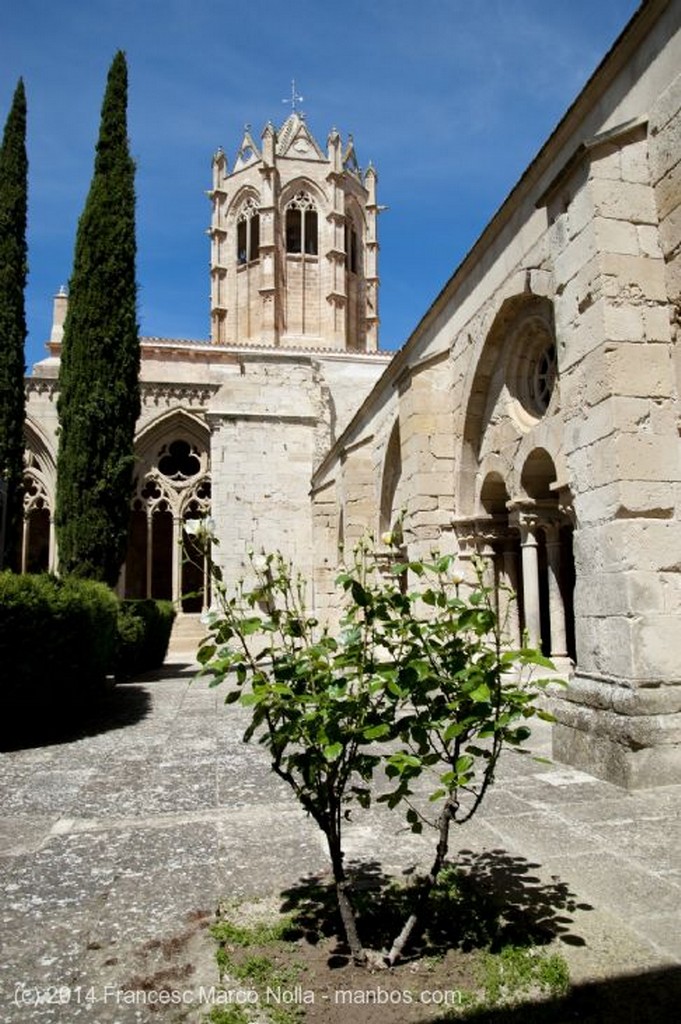 Vallbona de les Monges
Monasterio Vallbona de les Monges
Lerida