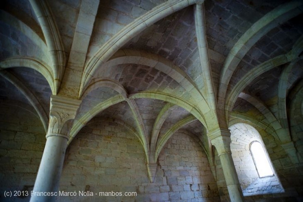 Monasterio de Santes Creus
Monasterio Santes Creus
Tarragona