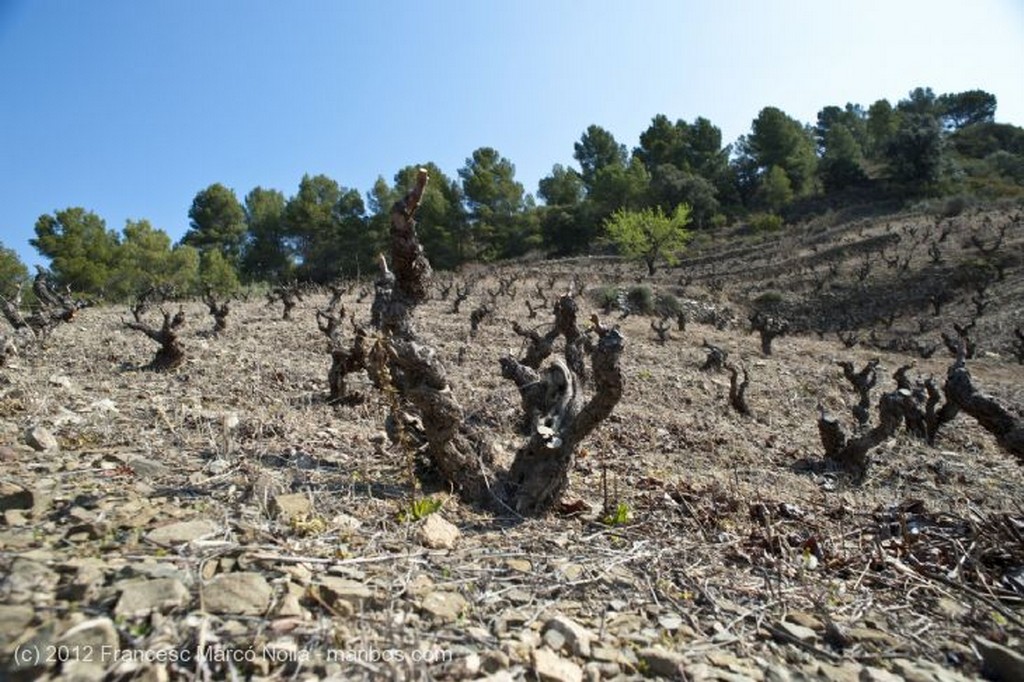 El Priorato
La Comarca del Priorato
Tarragona