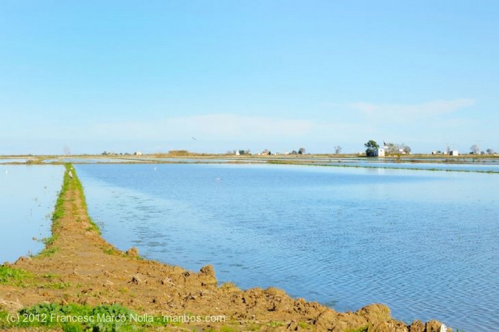 El Delta del Ebro
Arrozales Inundados
Tarragona