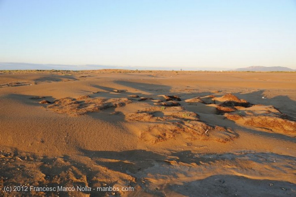 El Delta del Ebro
La Solitaria Playa del Fangar
Tarragona