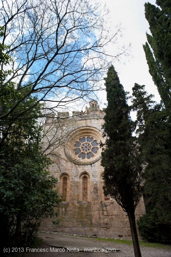 Monasterio de Santes Creus
Monasterio Santes Creus
Tarragona