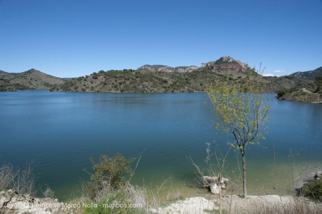 El Priorato
Bosques del Priorato
Tarragona