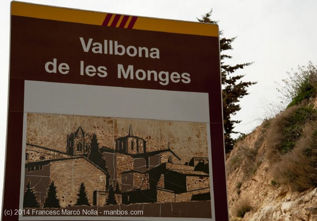 Vallbona de les Monges
Monasterio Vallbona de les Monges
Lerida