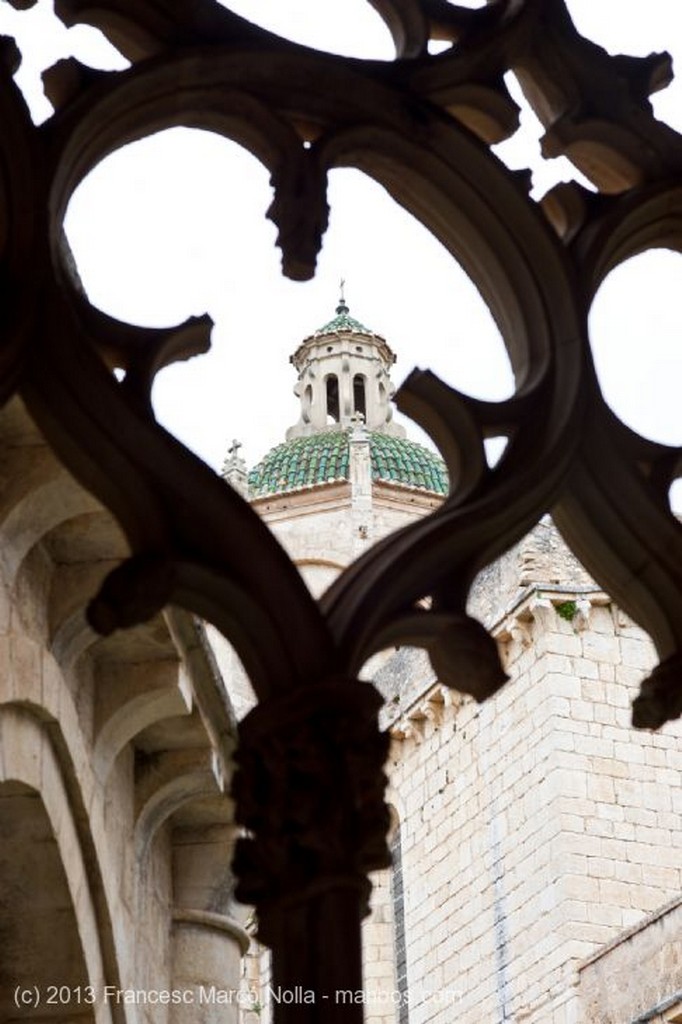 Monasterio de Santes Creus
Monasterio Santes Creus
Tarragona