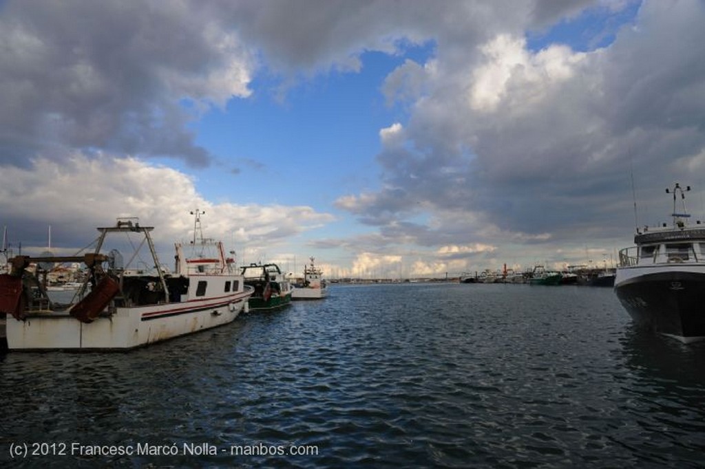 Cambrils
El Mar en Calma
Tarragona